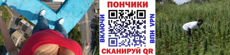 Где купить наркотики Новокузнецк Псилоцибиновые грибы  АМФЕТАМИН  Меф мяу мяу  КОКАИН  omg tor  ГАШИШ 