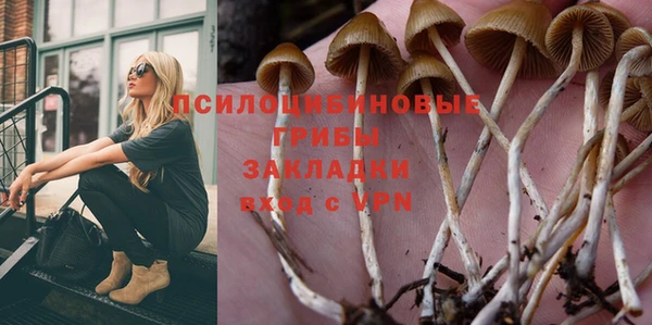 а пвп мука Новозыбков