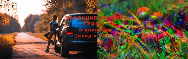 2c-b Новокубанск