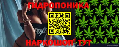 гидропоника Гай