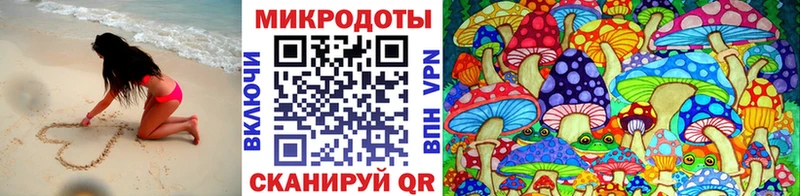 продажа наркотиков  Новокузнецк  Псилоцибиновые грибы GOLDEN TEACHER 