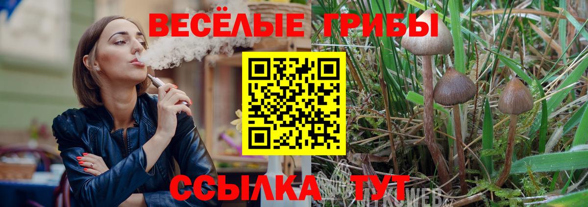 Псилоцибиновые грибы MAGIC MUSHROOMS  Новокузнецк  Галлюциногенные грибы мухоморы 